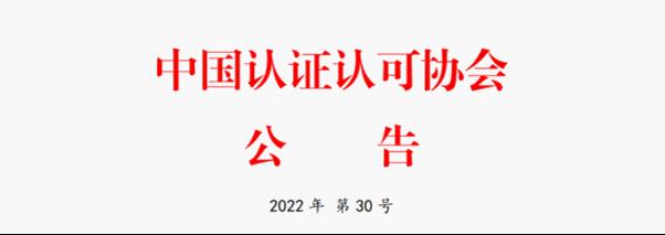 《认证机构远程审核指南》批准发布